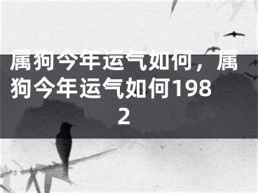 属狗今年运气如何,属狗今年运气如何1982