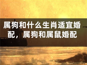 属狗和什么生肖适宜婚配，属狗和属鼠婚配
