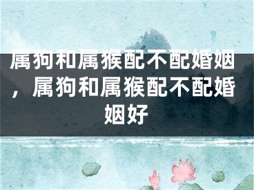 属狗和属猴配不配婚姻，属狗和属猴配不配婚姻好