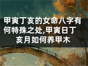 甲寅丁亥的女命八字有何特殊之处,甲寅日丁亥月如何养甲木