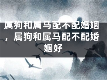 属狗和属马配不配婚姻，属狗和属马配不配婚姻好