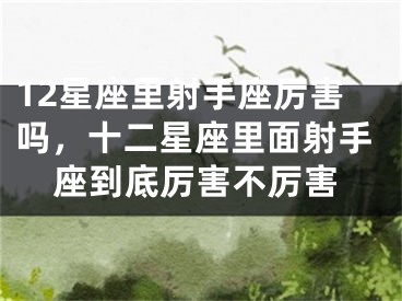 12星座里射手座厉害吗，十二星座里面射手座到底厉害不厉害