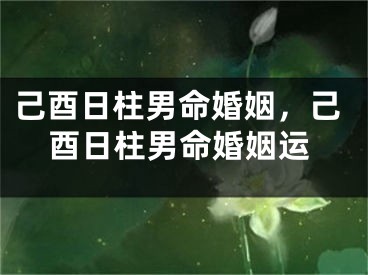 己酉日柱男命婚姻，己酉日柱男命婚姻运