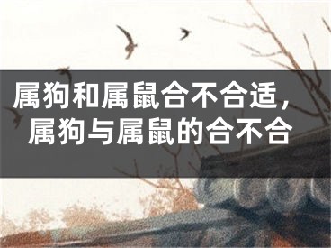 属狗和属鼠合不合适，属狗与属鼠的合不合