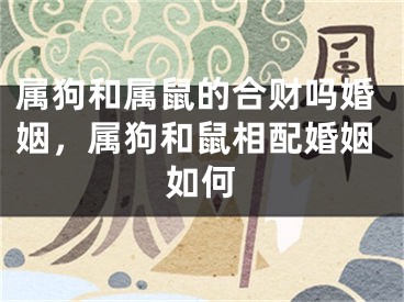 属狗和属鼠的合财吗婚姻,属狗和鼠相配婚姻如何