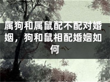 属狗和属鼠配不配对婚姻，狗和鼠相配婚姻如何