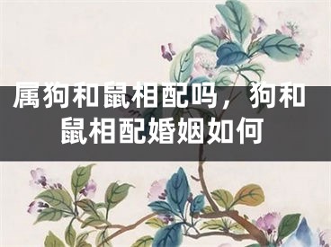 属狗和鼠相配吗，狗和鼠相配婚姻如何