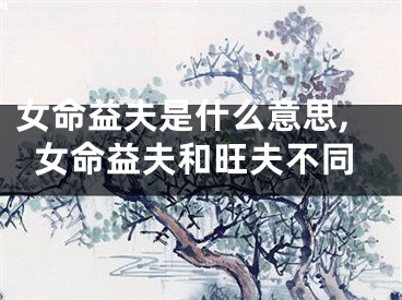 女命益夫是什么意思,女命益夫和旺夫不同