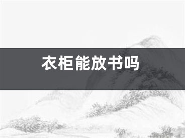 衣柜能放书吗
