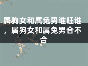 属狗女和属兔男谁旺谁，属狗女和属兔男合不合