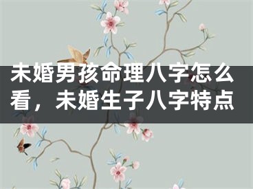 未婚男孩命理八字怎么看，未婚生子八字特点