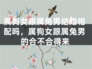属狗女跟属兔男结婚相配吗,属狗女跟属兔男的合不合得来