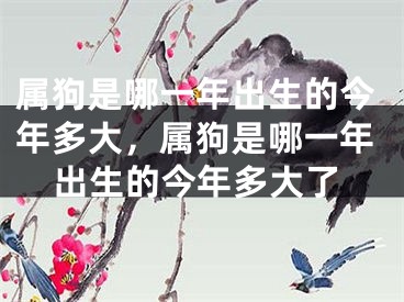 属狗是哪一年出生的今年多大，属狗是哪一年出生的今年多大了