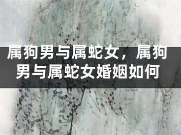 属狗男与属蛇女，属狗男与属蛇女婚姻如何