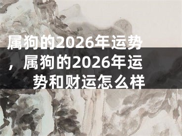 属狗的2026年运势，属狗的2026年运势和财运怎么样
