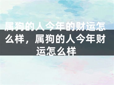 属狗的人今年的财运怎么样，属狗的人今年财运怎么样