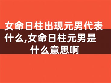 女命日柱出现元男代表什么,女命日柱元男是什么意思啊