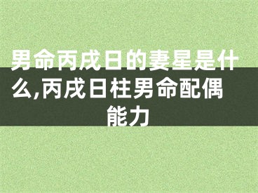 男命丙戌日的妻星是什么,丙戌日柱男命配偶能力