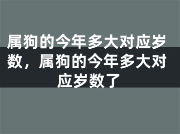 属狗的今年多大对应岁数，属狗的今年多大对应岁数了