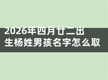 2026年四月廿二出生杨姓男孩名字怎么取