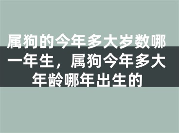 属狗的今年多大岁数哪一年生，属狗今年多大年龄哪年出生的