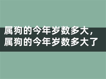 属狗的今年岁数多大，属狗的今年岁数多大了