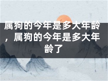 属狗的今年是多大年龄，属狗的今年是多大年龄了