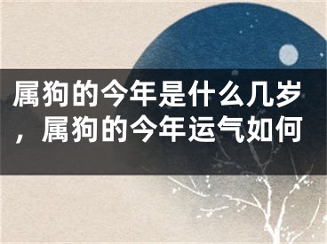 属狗的今年是什么几岁，属狗的今年运气如何