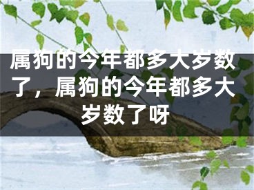 属狗的今年都多大岁数了，属狗的今年都多大岁数了呀