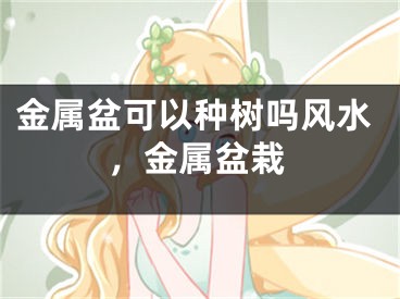 金属盆可以种树吗风水，金属盆栽