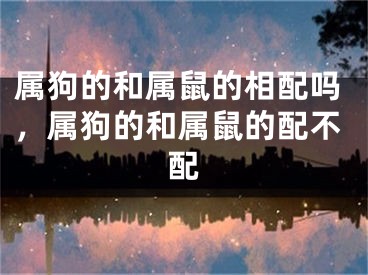 属狗的和属鼠的相配吗，属狗的和属鼠的配不配