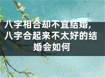 八字相合却不宜结婚,八字合起来不太好的结婚会如何