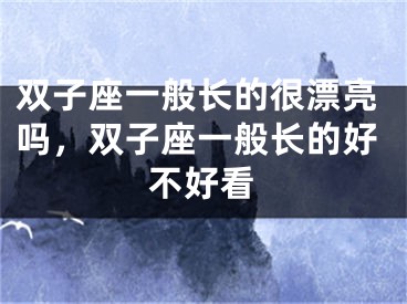 双子座一般长的很漂亮吗,双子座一般长的好不好看