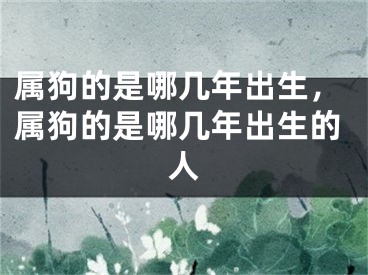 属狗的是哪几年出生，属狗的是哪几年出生的人