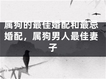 属狗的最佳婚配和最忌婚配，属狗男人最佳妻子