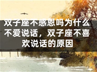 双子座不感恩吗为什么不爱说话，双子座不喜欢说话的原因