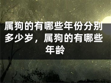 属狗的有哪些年份分别多少岁，属狗的有哪些年龄