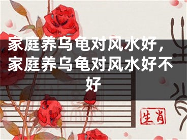 家庭养乌龟对风水好，家庭养乌龟对风水好不好