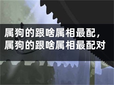 属狗的跟啥属相最配，属狗的跟啥属相最配对