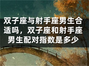 双子座与射手座男生合适吗，双子座和射手座男生配对指数是多少