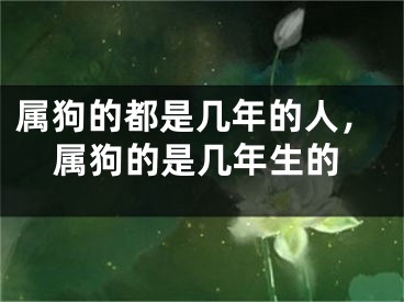 属狗的都是几年的人，属狗的是几年生的