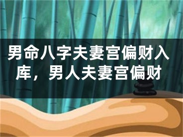 男命八字夫妻宫偏财入库，男人夫妻宫偏财
