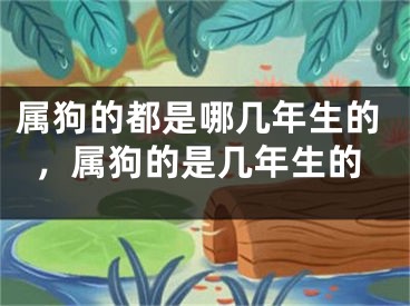 属狗的都是哪几年生的，属狗的是几年生的