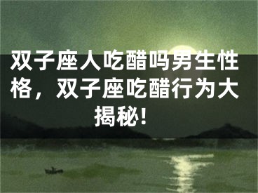 双子座人吃醋吗男生性格，双子座吃醋行为大揭秘!