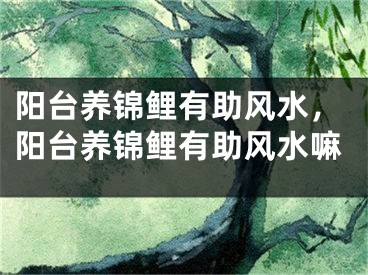 阳台养锦鲤有助风水，阳台养锦鲤有助风水嘛