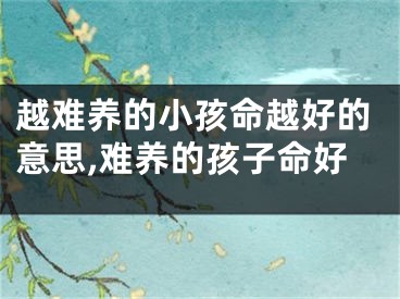 越难养的小孩命越好的意思,难养的孩子命好