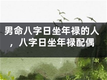男命八字日坐年禄的人，八字日坐年禄配偶