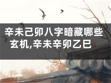 辛未己卯八字暗藏哪些玄机,辛未辛卯乙巳