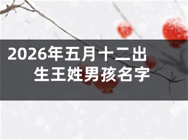2026年五月十二出生王姓男孩名字