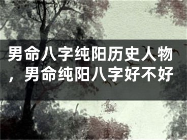男命八字纯阳历史人物，男命纯阳八字好不好